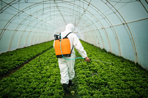 Best Ant Control Services  in Sleepy Hollow Lake, NY