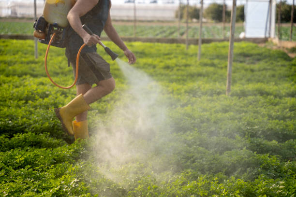 Best Commercial Pest Control Services  in Sleepy Hollow Lake, NY