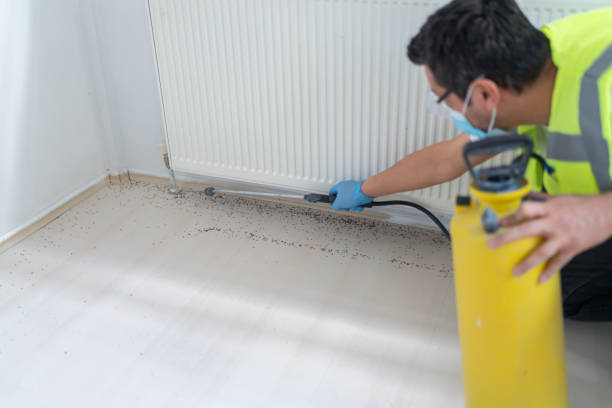 Best Bed Bug Extermination  in Sleepy Hollow Lake, NY